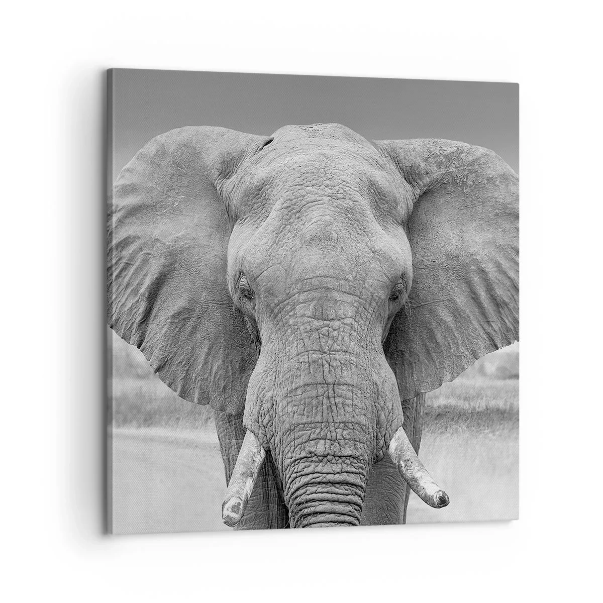 Canvas picture - Welcome to My World - 60x60 cm