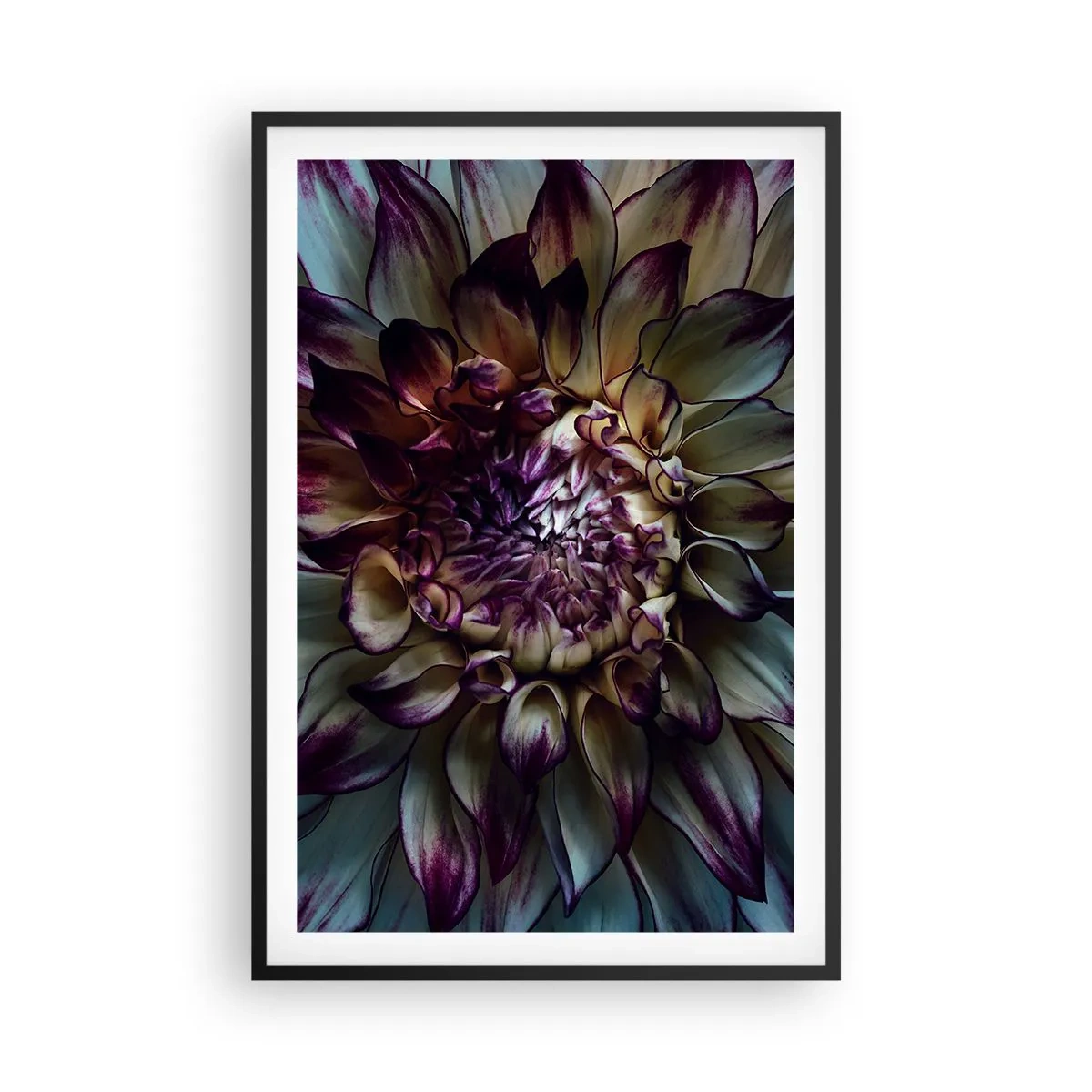 Poster in black frame - The Blossoming of Youth - 61x91 cm