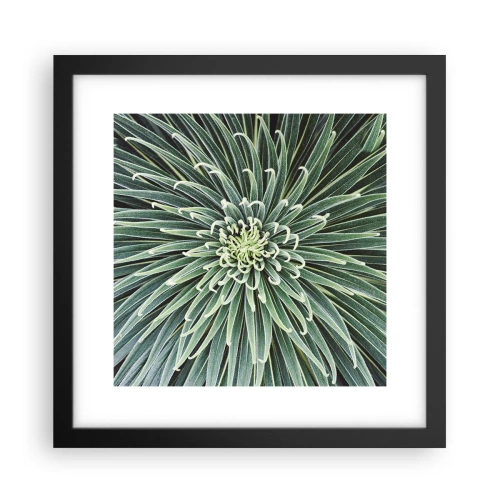 Poster in black frame - Birth of a Star - 30x30 cm