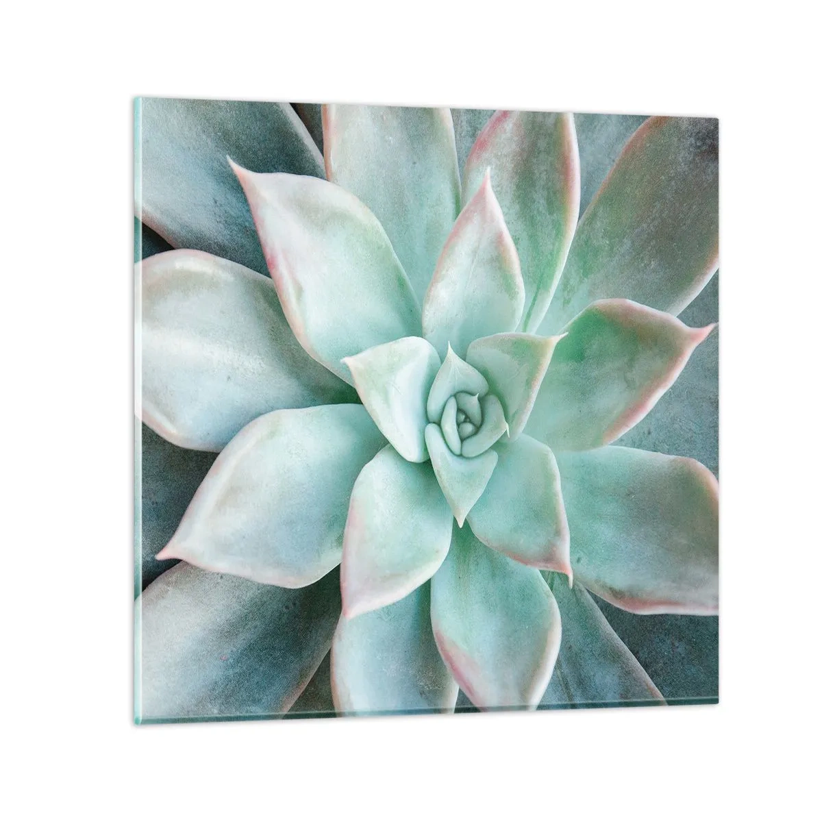 Glass picture - Heart of a Desert - 40x40 cm