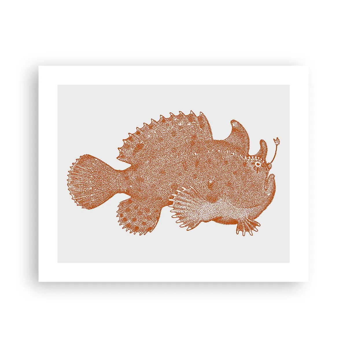Poster - Fish after All - 50x40 cm