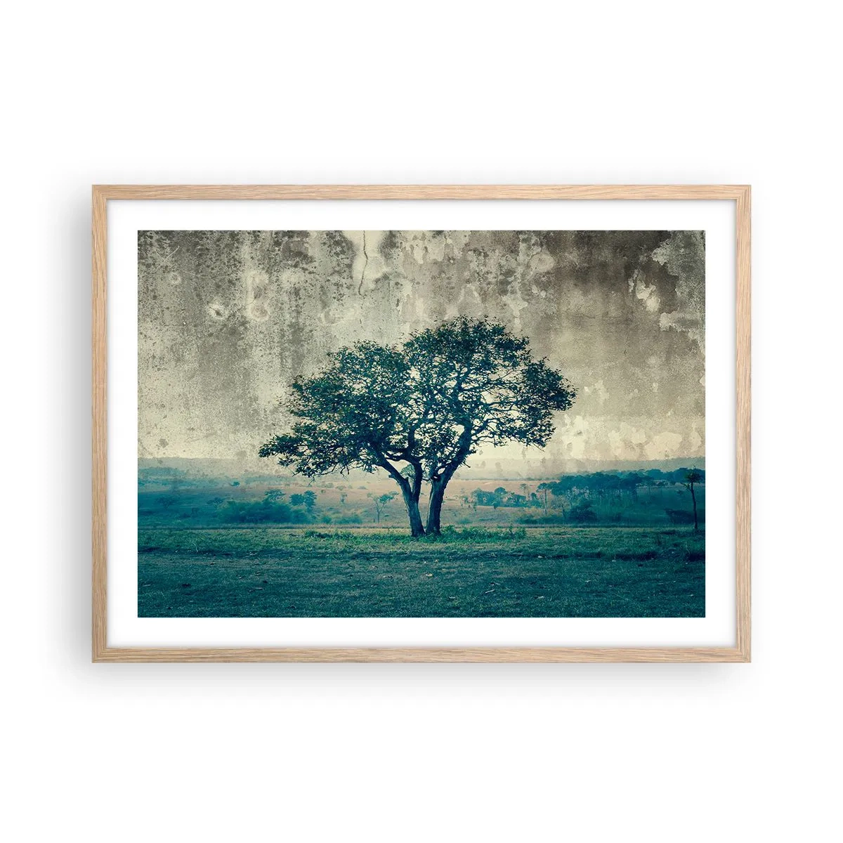 Poster in light oak frame - Apple Tree in Blue? - 70x50 cm