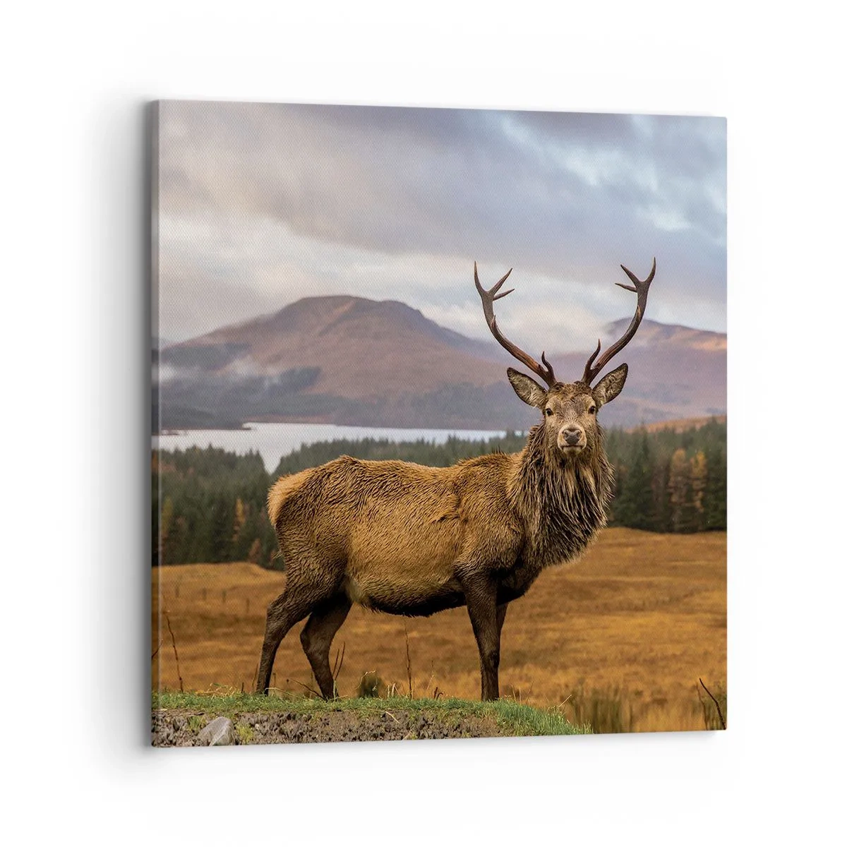 Canvas picture - Majesty of Nature - 70x70 cm