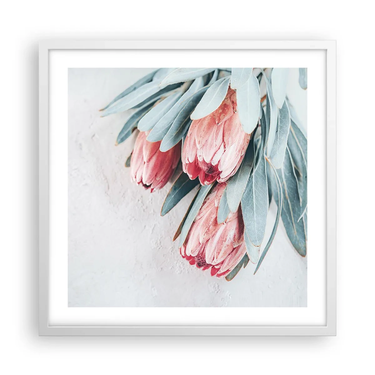 Poster in white frmae - Ashamed of Their Own Beauty - 50x50 cm
