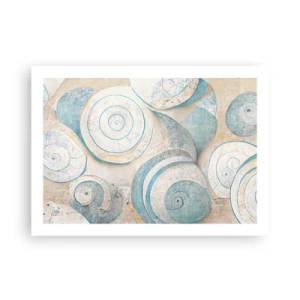 Poster - What Does a Shell Hide? - 70x50 cm