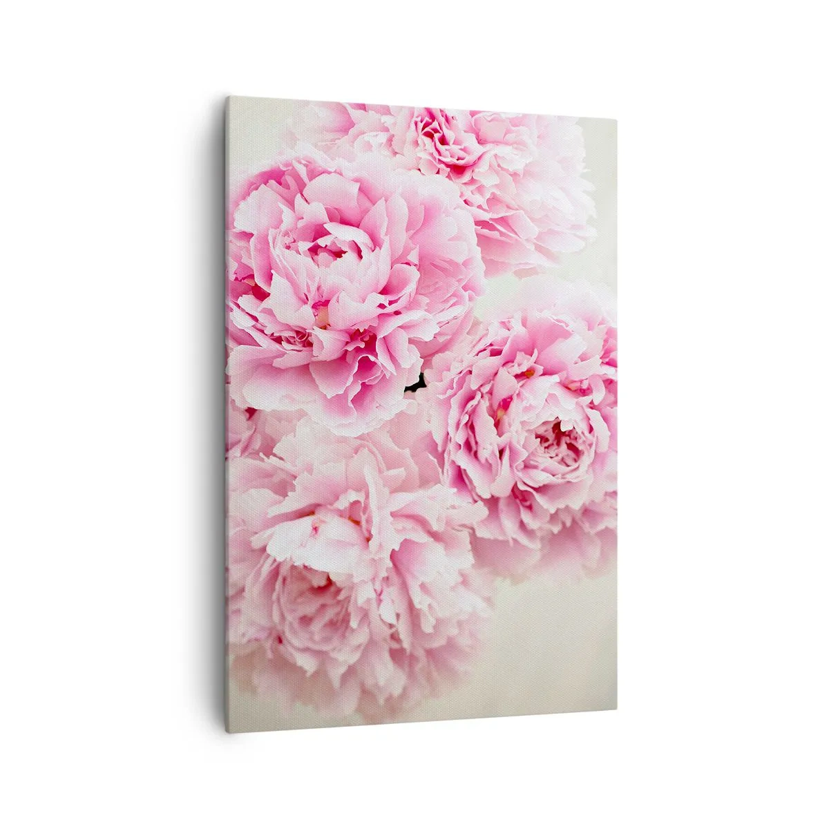 Canvas picture - In Pink  Splendour - 70x100 cm