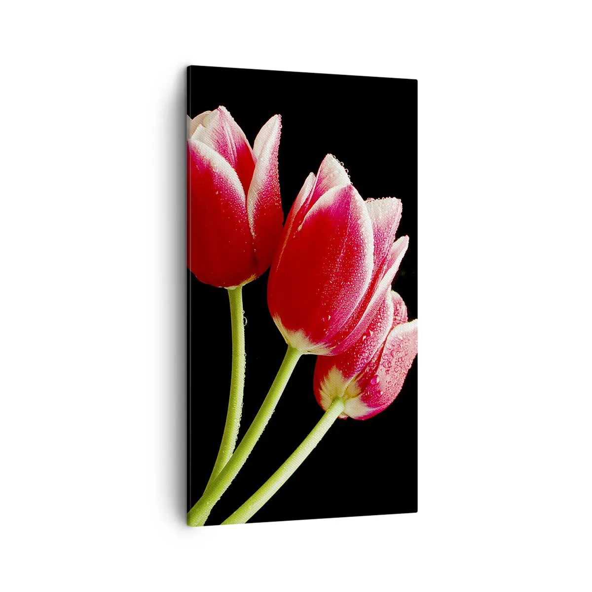 Canvas picture - Promise of Pure Love - 45x80 cm