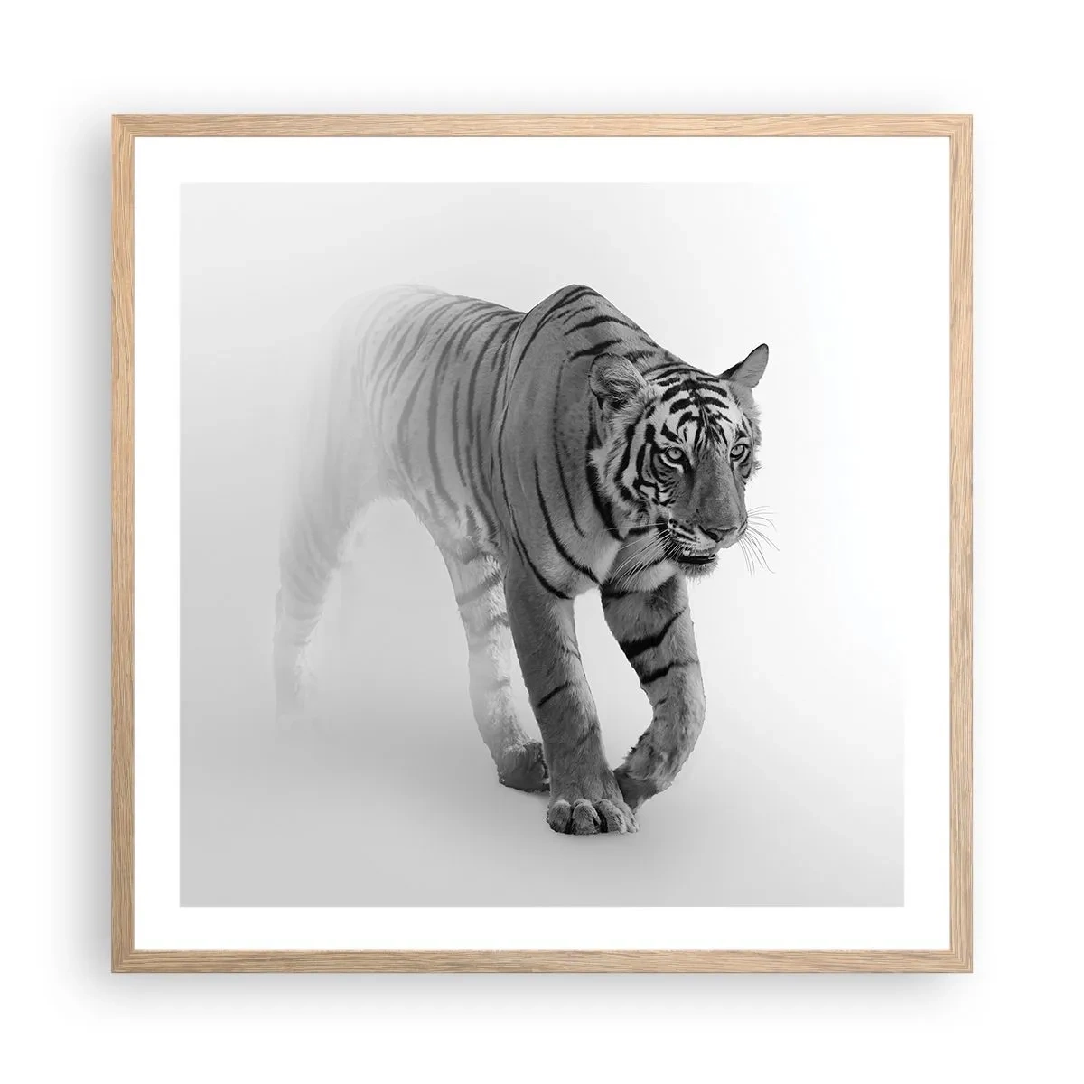 Poster in light oak frame - Crouching in Fog - 60x60 cm