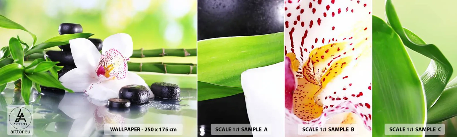 Photo Wallpaper Sample Standard Eco - Cool Freshness - Bamboo, Flower, Orchid - 100x30 cm