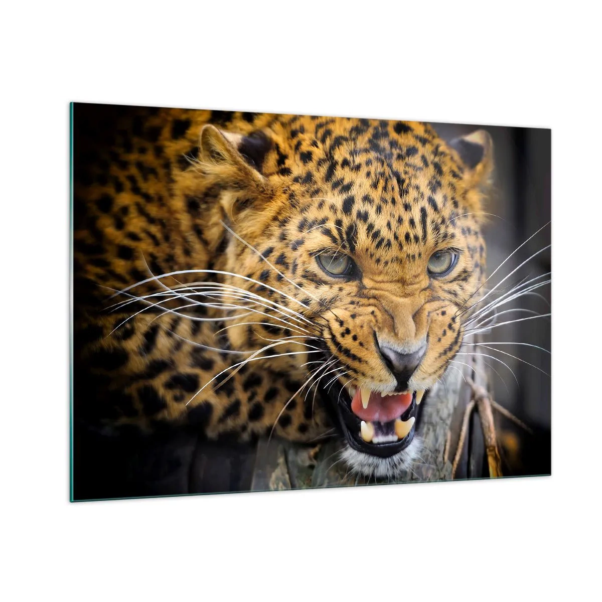Glass picture - Do Not Come Close, I am Warning You! - 100x70 cm