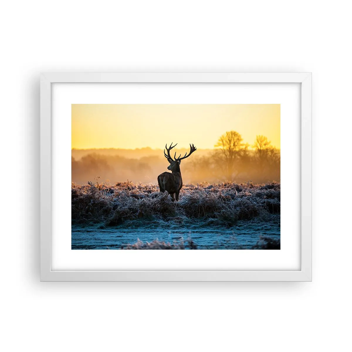 Poster in white frmae - Crowned in Its Kingdom - 40x30 cm