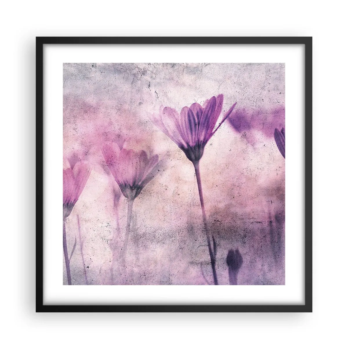 Poster in black frame - Dream of Flowers - 50x50 cm