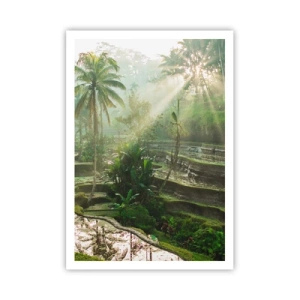 Poster - Maturing in the Sun - 70x100 cm