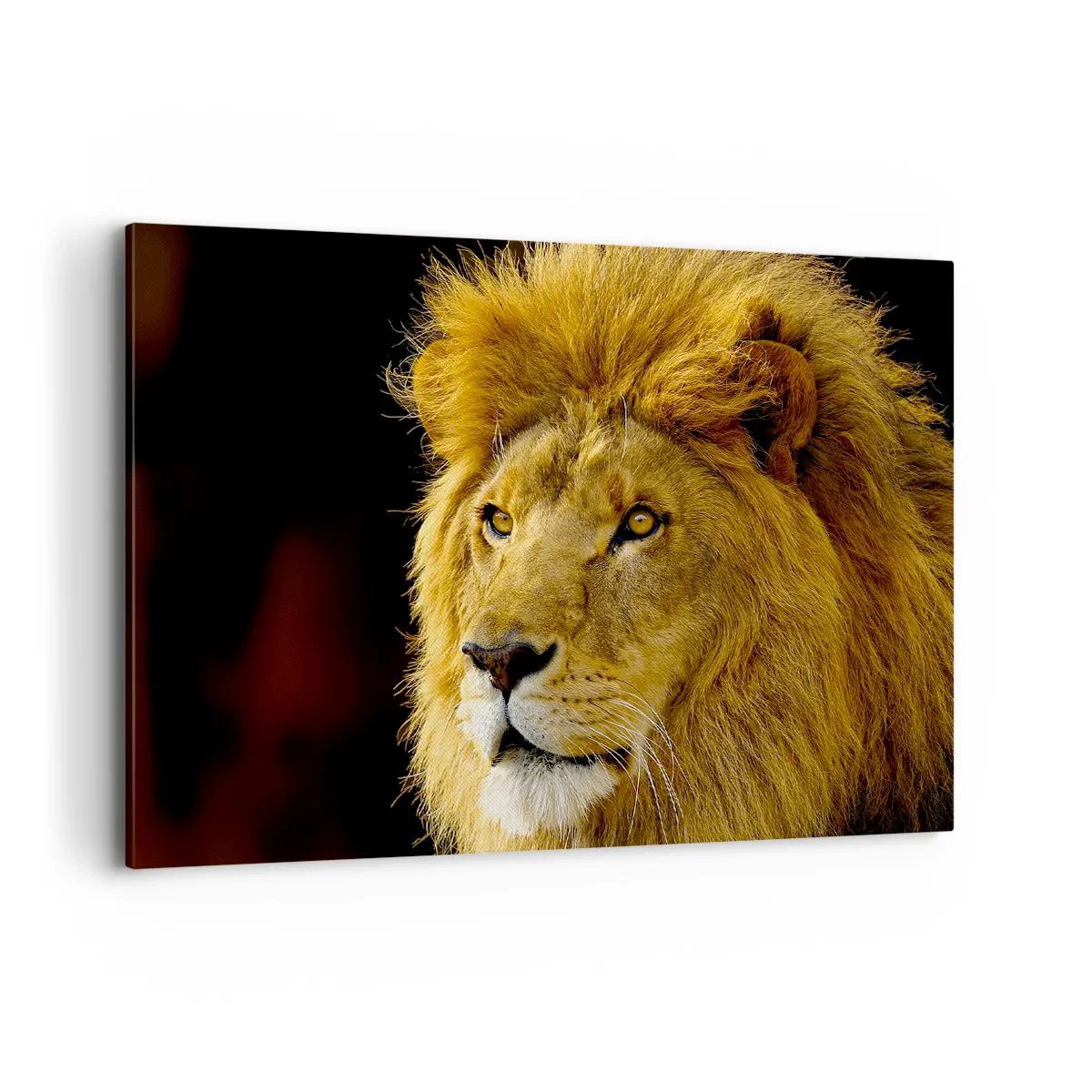 Canvas picture - Portrait of a King - 100x70 cm