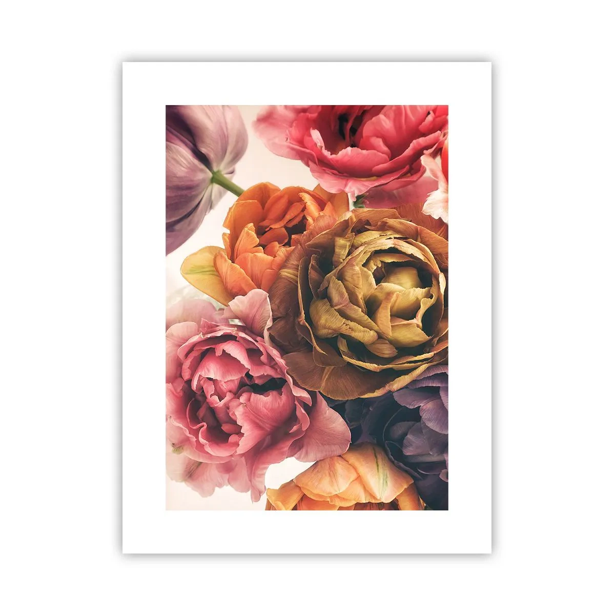 Poster - Celebration of Life - 30x40 cm