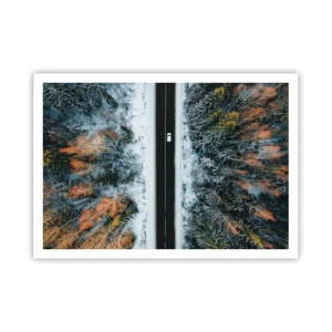 Poster - Through a Wintery Forest - 100x70 cm