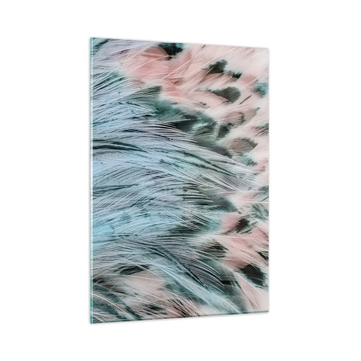 Glass picture - Sapphire and Pink Feathers - 50x70 cm