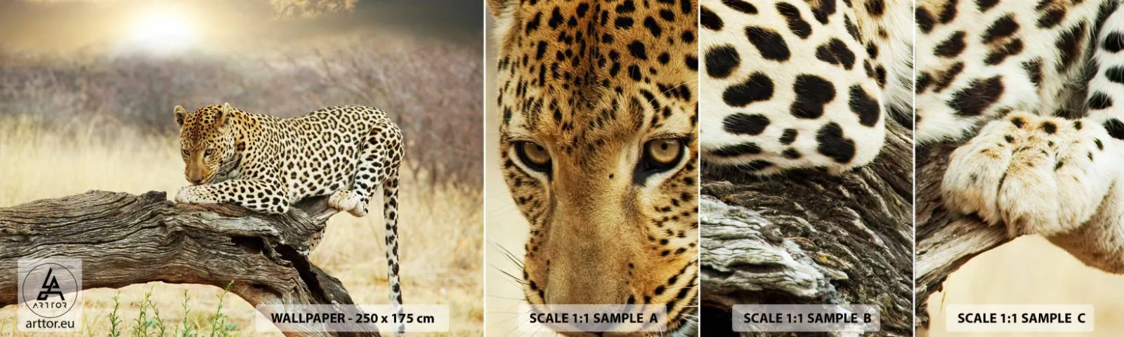 Photo Wallpaper Sample Self-Adhesive Deluxe Sticker - I Mark My Own Path - Animals, leopard, Africa - 100x30 cm