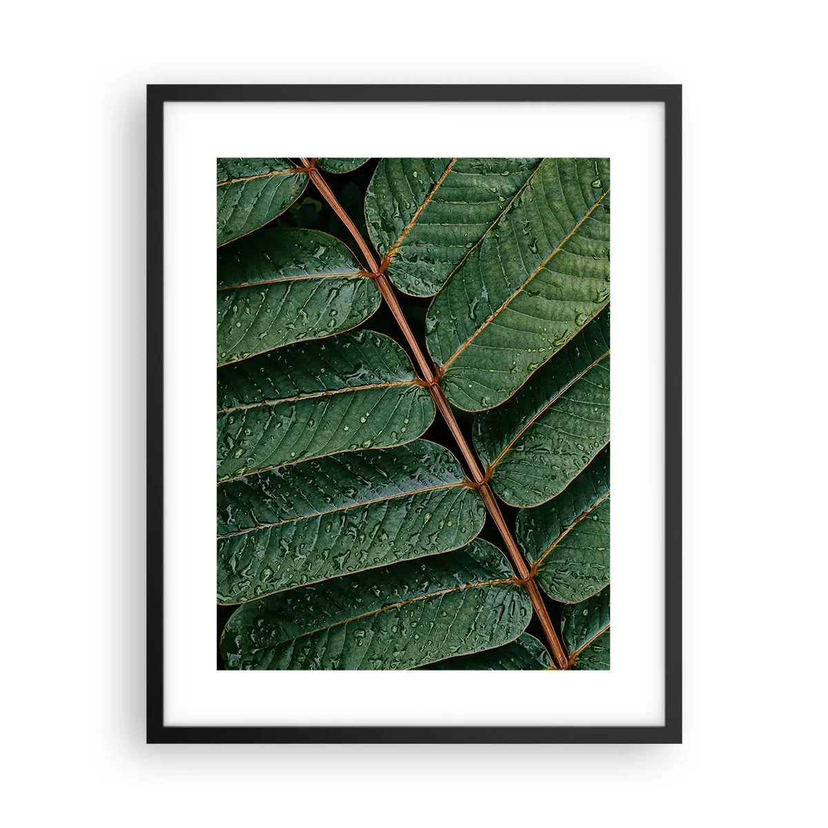 Poster in black frame - In Green Rhythm - 40x50 cm