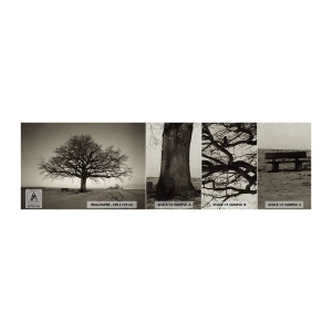 Photo Wallpaper Sample Premium Sand - From Here to Eternity - Landscape, Tree, Nature - 100x30 cm