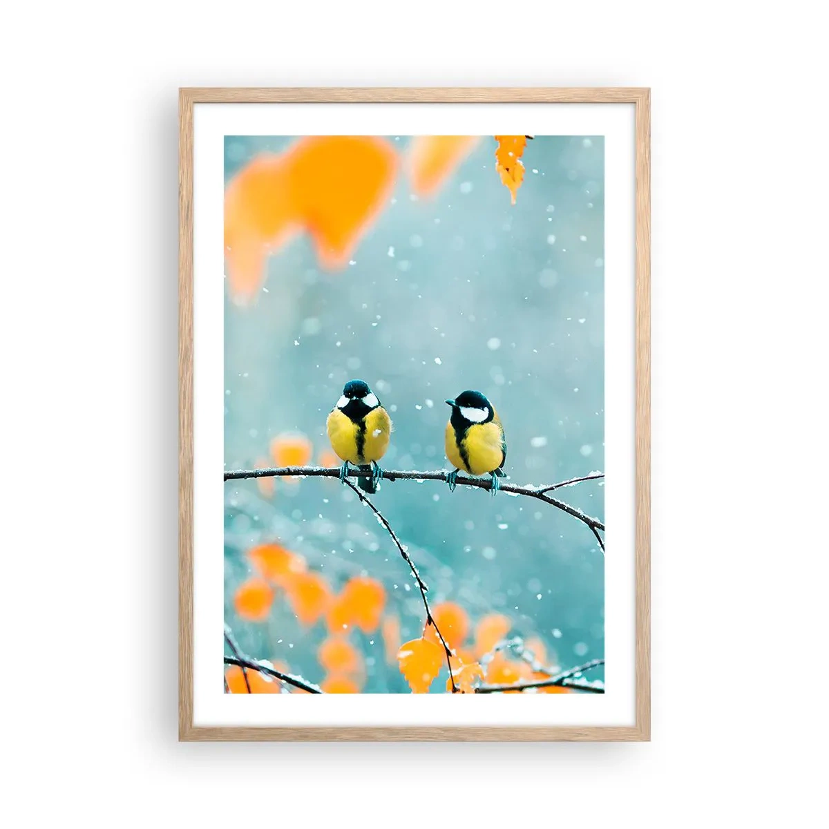 Poster in light oak frame - Birdy Gossip - 50x70 cm