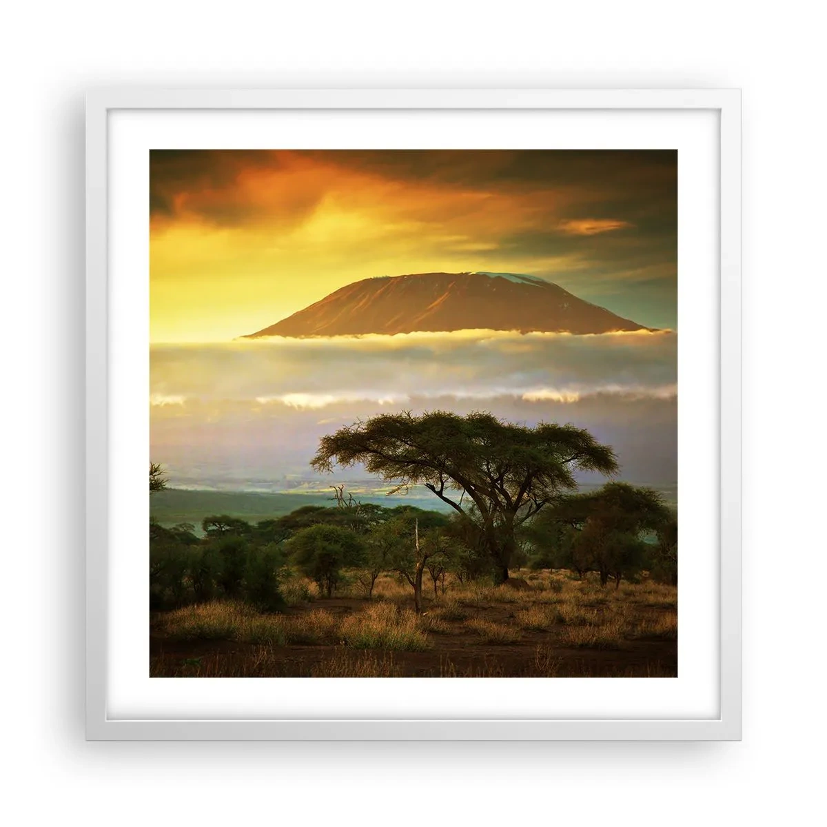 Poster in white frmae - Traveller's Dream - 50x50 cm