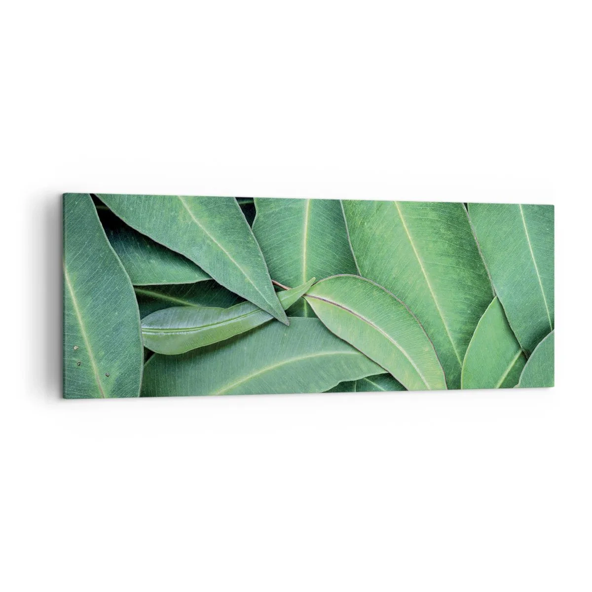 Canvas picture - Juicy and Fresh - 140x50 cm