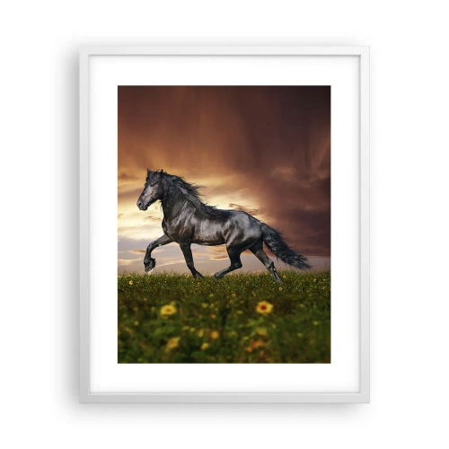 Poster in white frmae - Black Prince - 40x50 cm