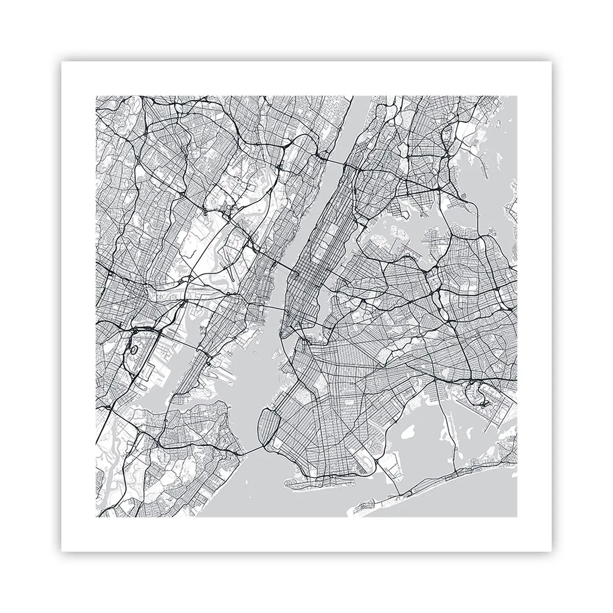 Poster - Anatomy of Metropolis - 50x50 cm