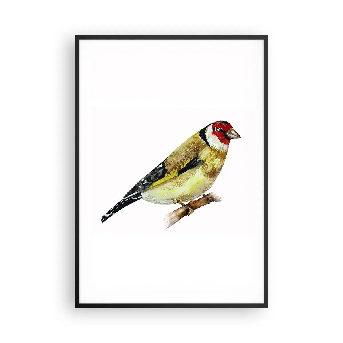 Poster in black frame - Bird Portrait - 70x100 cm