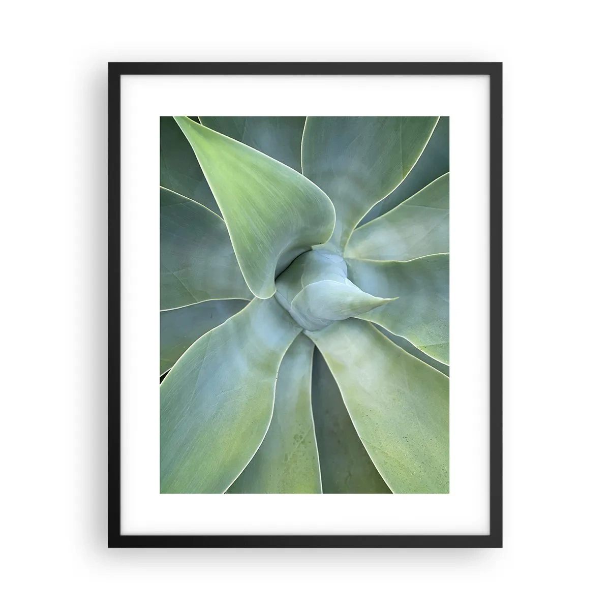 Poster in black frame - Birth of Green - 40x50 cm