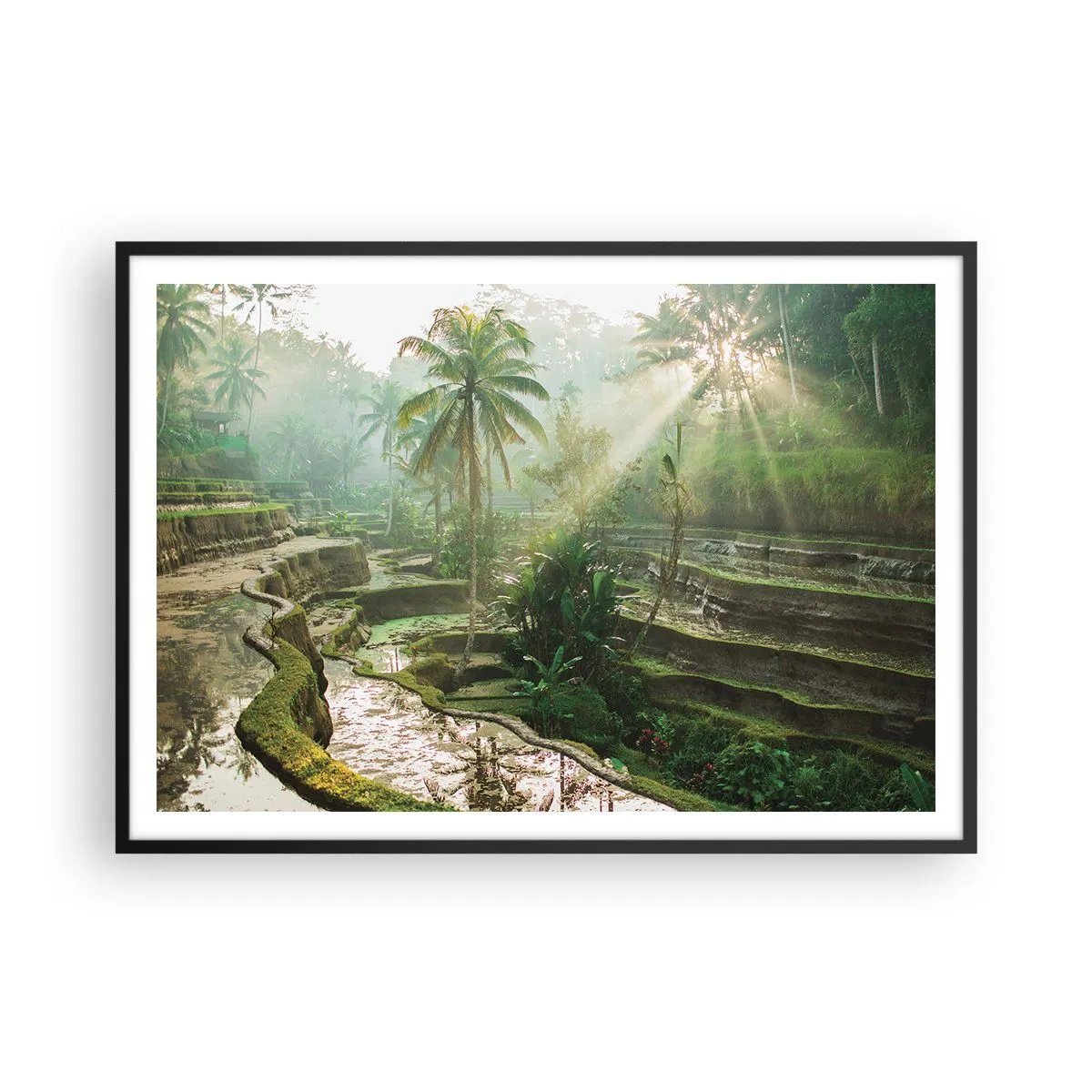 Poster in black frame - Maturing in the Sun - 100x70 cm