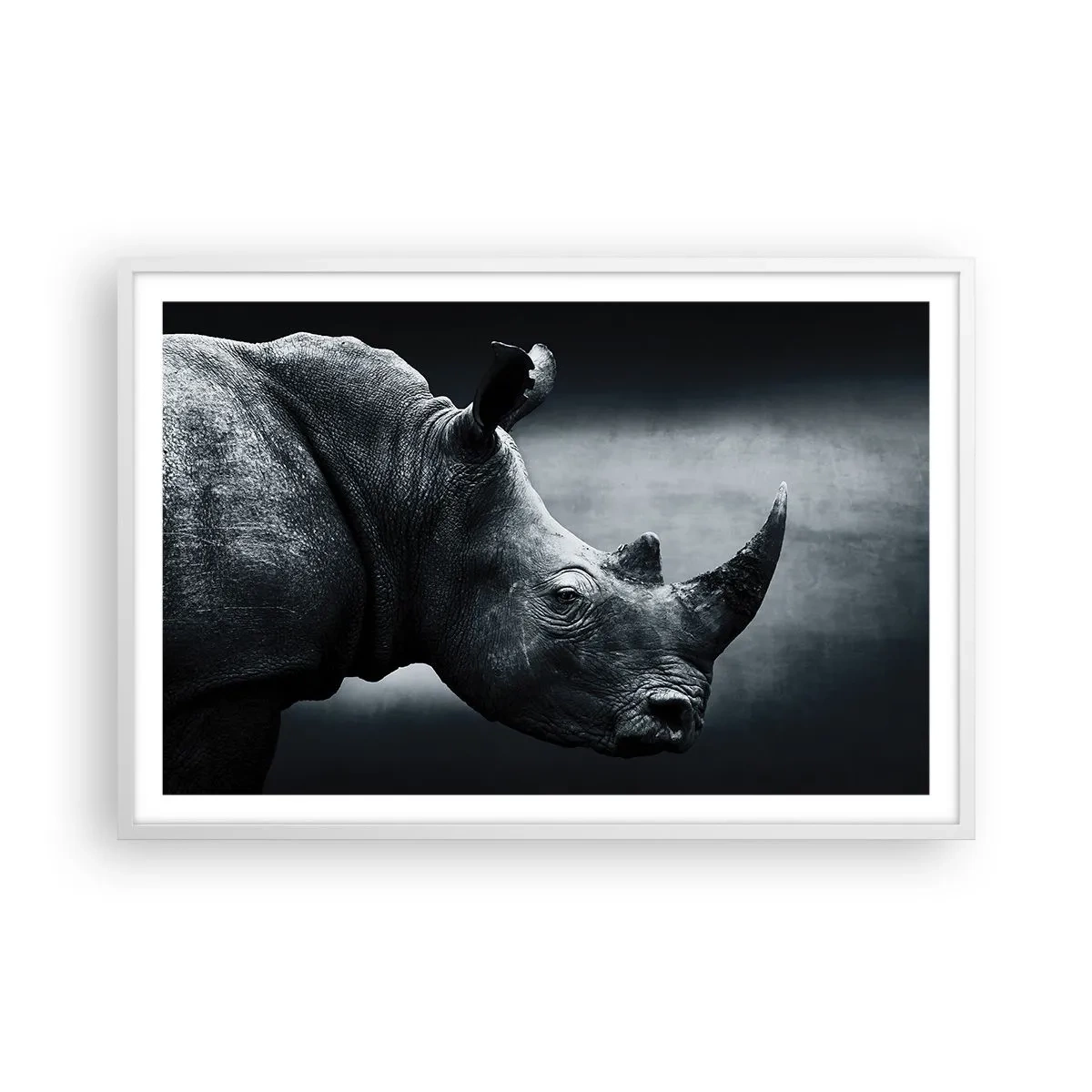 Poster in white frmae - Right Profile - 91x61 cm