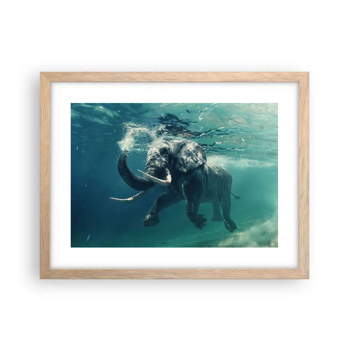 Poster in light oak frame - Everyone Likes to Swim - 40x30 cm