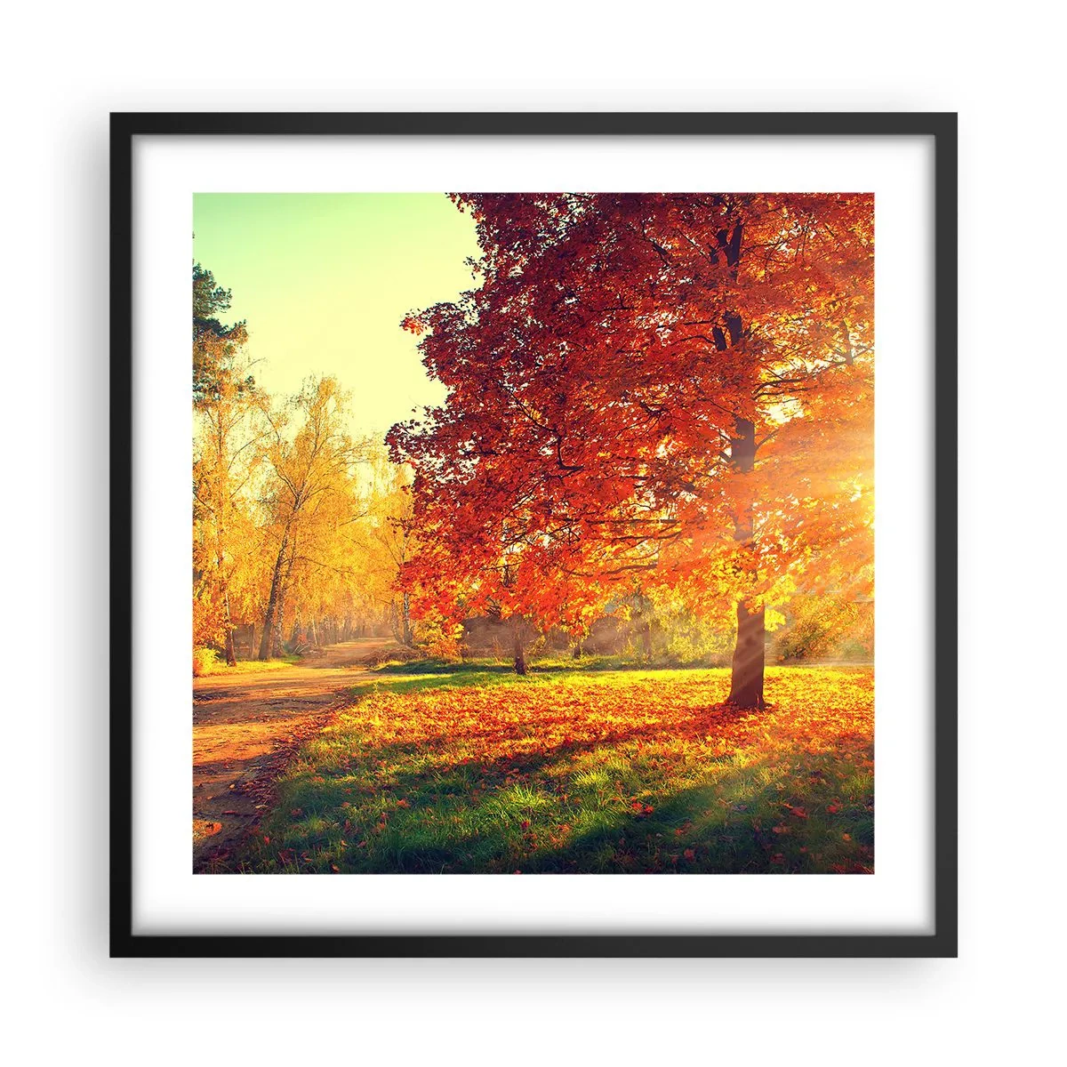 Poster in black frame - Ginger Is Beautiful - 50x50 cm