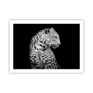 Poster - A Perfect Right Profile  - 70x50 cm