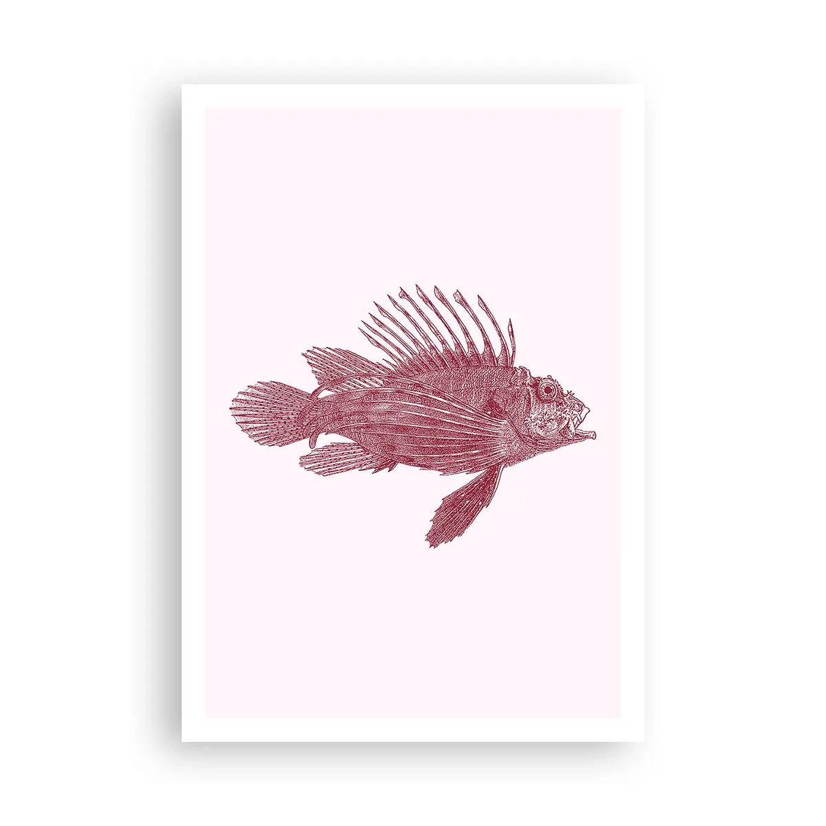 Poster - Dweller of Exotic Waters - 70x100 cm