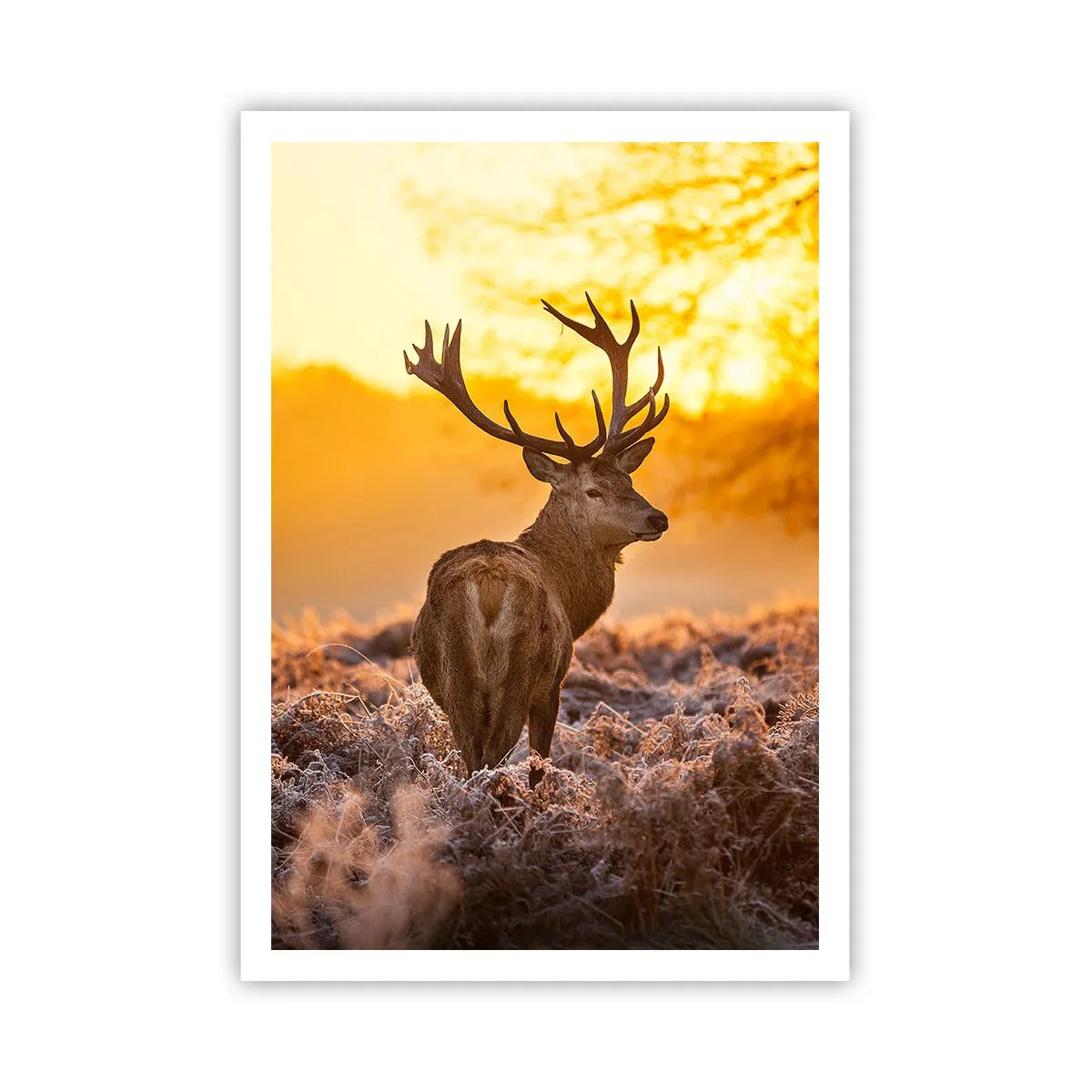 Poster - King of Autumnal Forest - 70x100 cm