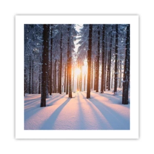 Poster - Clearly Black on White - 50x50 cm