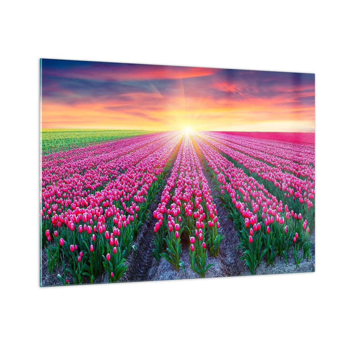 Glass picture - Beauty Farm - 100x70 cm