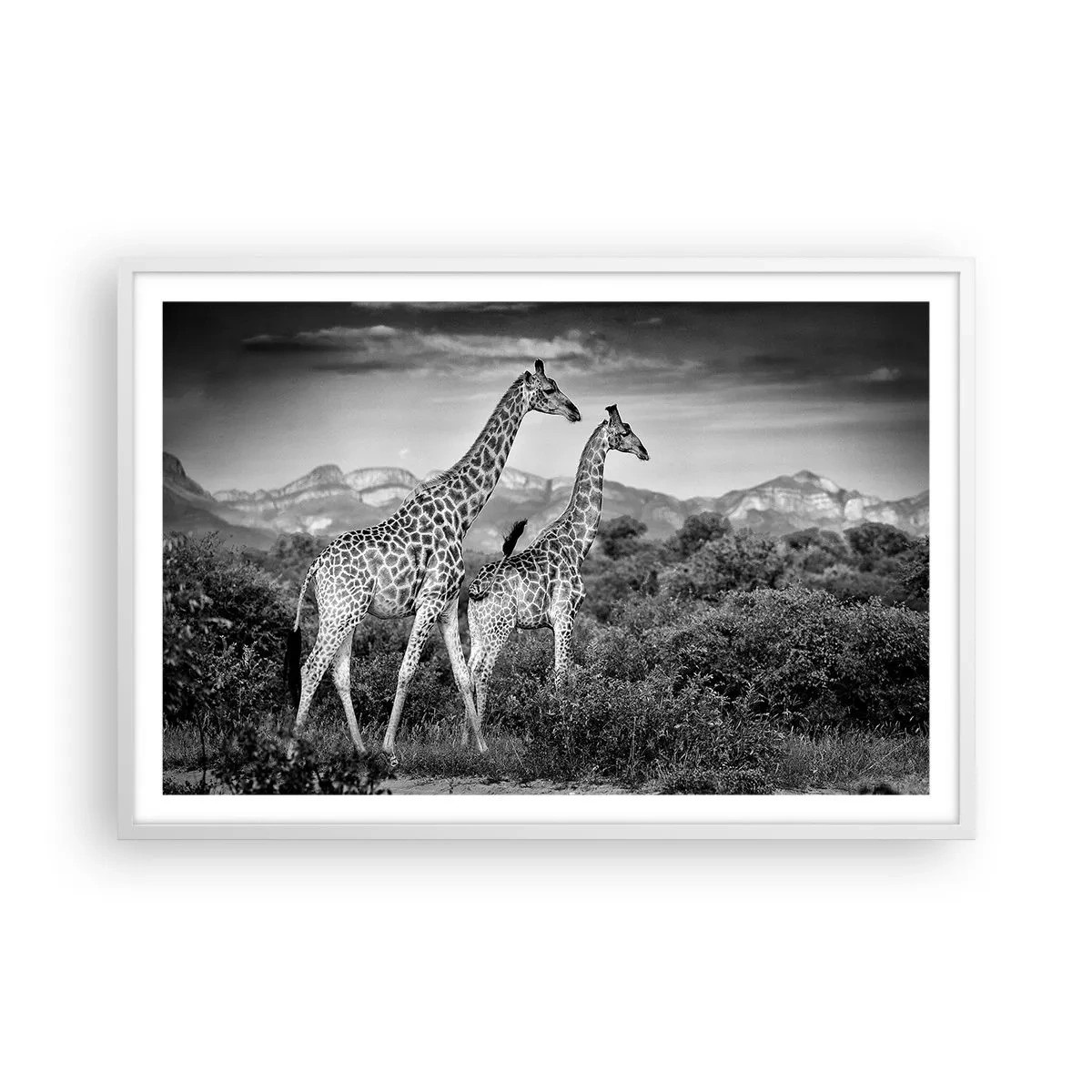 Poster in white frmae - Higher Spheres in Africa - 91x61 cm
