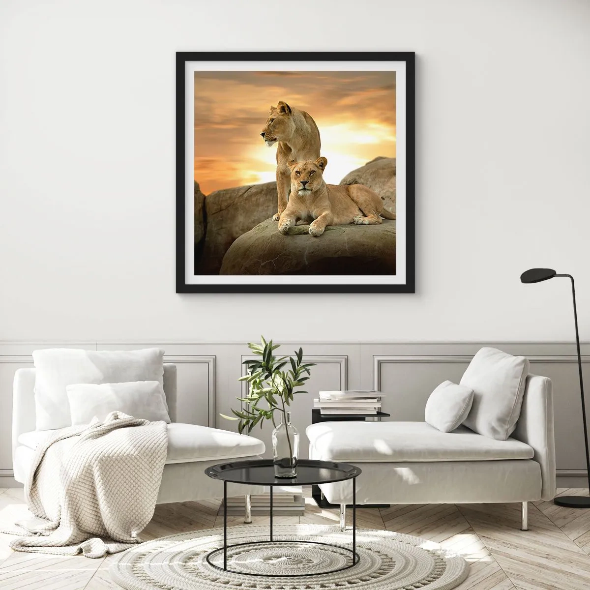 Poster in black frame - Royal Majesty - 40x40 cm
