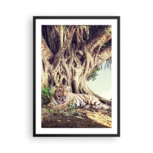 Poster in black frame - A tiger resting under a huge tree with tangled roots. - 50x70cm - View from the Genesis - Modern wall decoration for the living room and bedroom ARTTOR