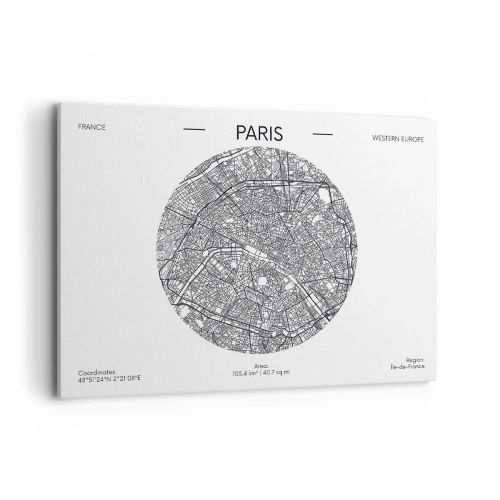 Canvas picture - Anatomy of Paris - 100x70 cm