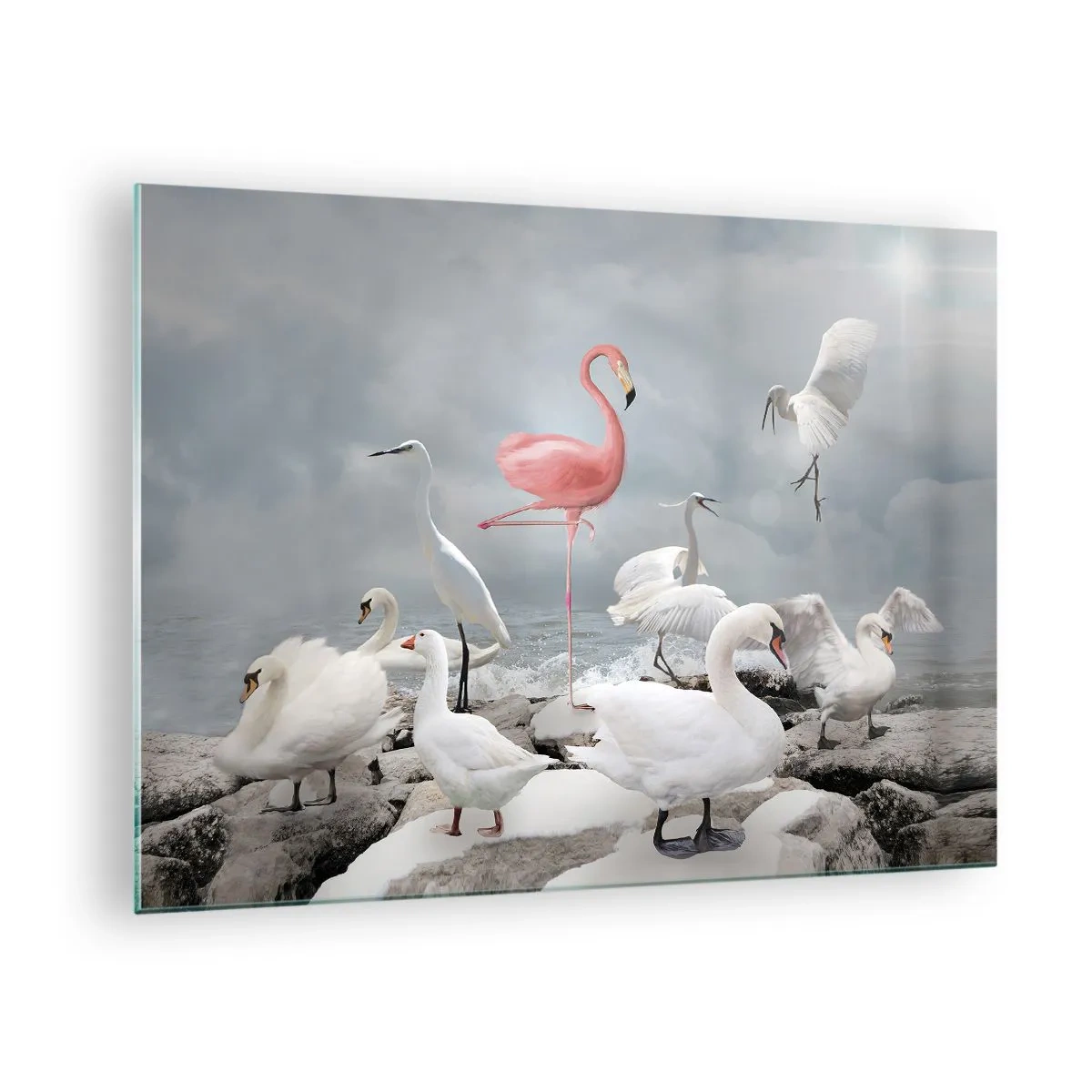 Glass picture - A pink flamingo among white swans and herons against the water - 70x50cm - Where Did I Come from? - Modern wall decoration for the living room and bedroom ARTTOR