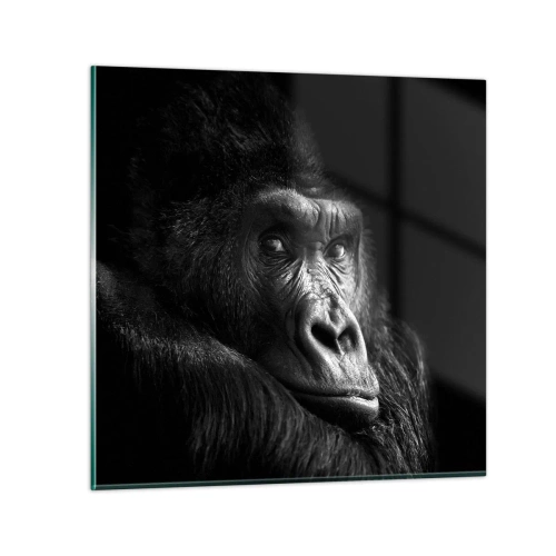 Glass picture - What Are You Looking At? - 50x50 cm