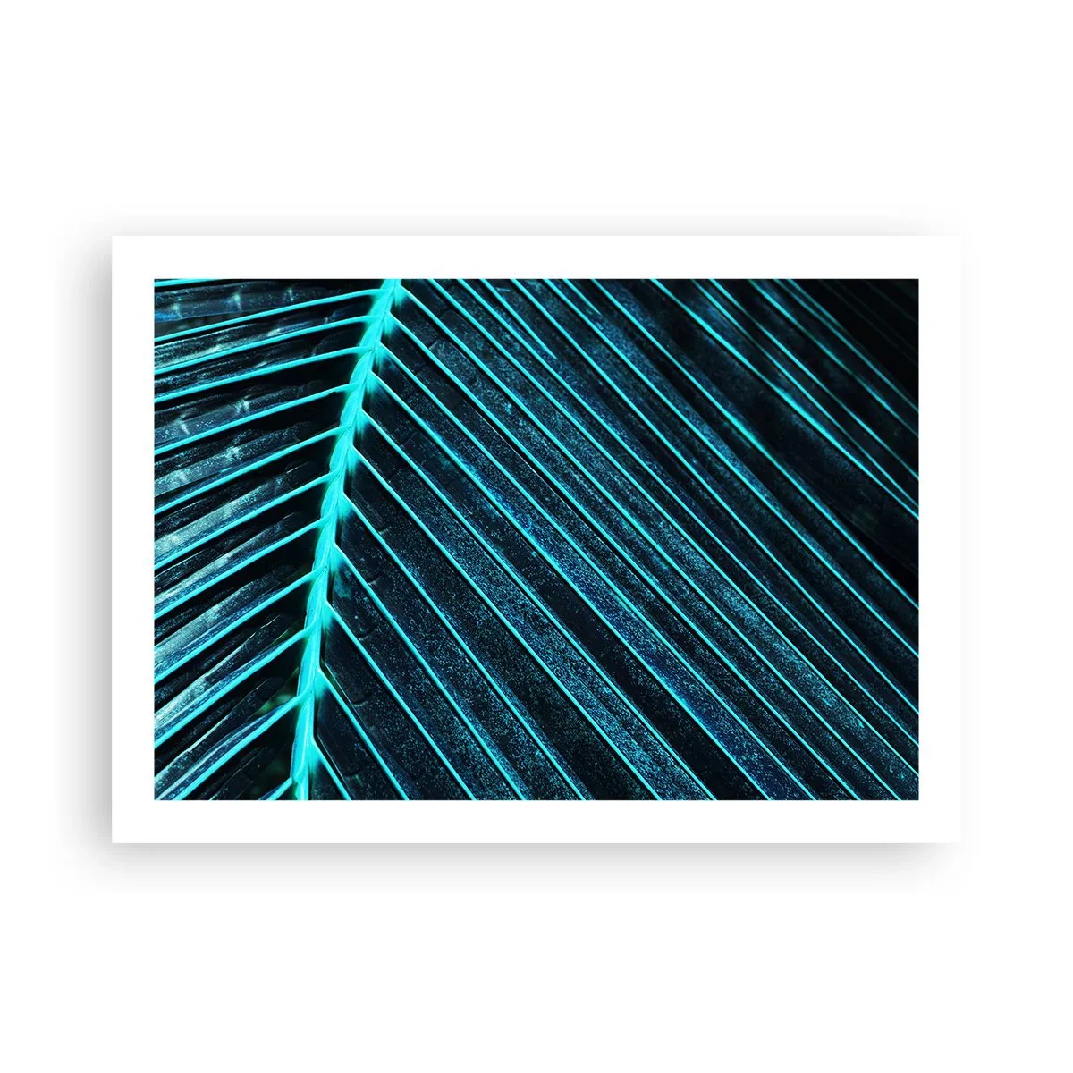 Poster - Texture of Green - 70x50 cm