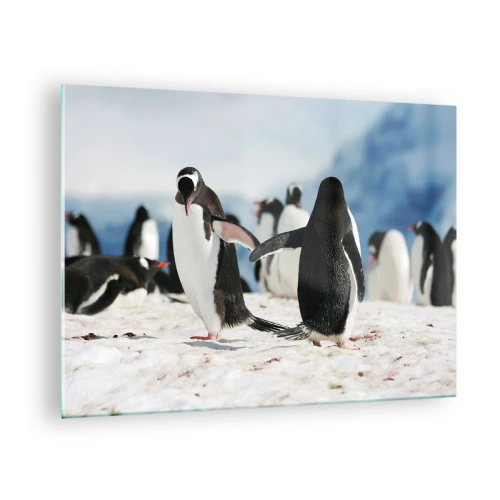 Glass picture - Penguins in the snow in a polar scenery - 70x50cm - Dance in the Snow - Modern wall decoration for the living room and bedroom ARTTOR
