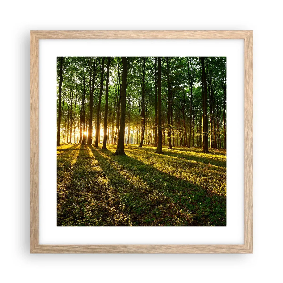 Poster in light oak frame - Photography of All Springs - 40x40 cm
