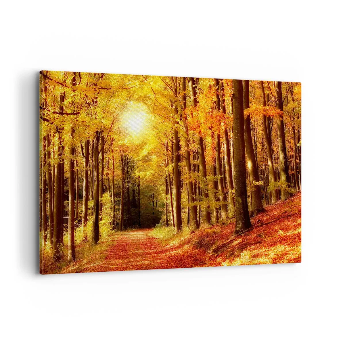 Canvas picture - Golden Autumn on a Forest Path - 120x80 cm